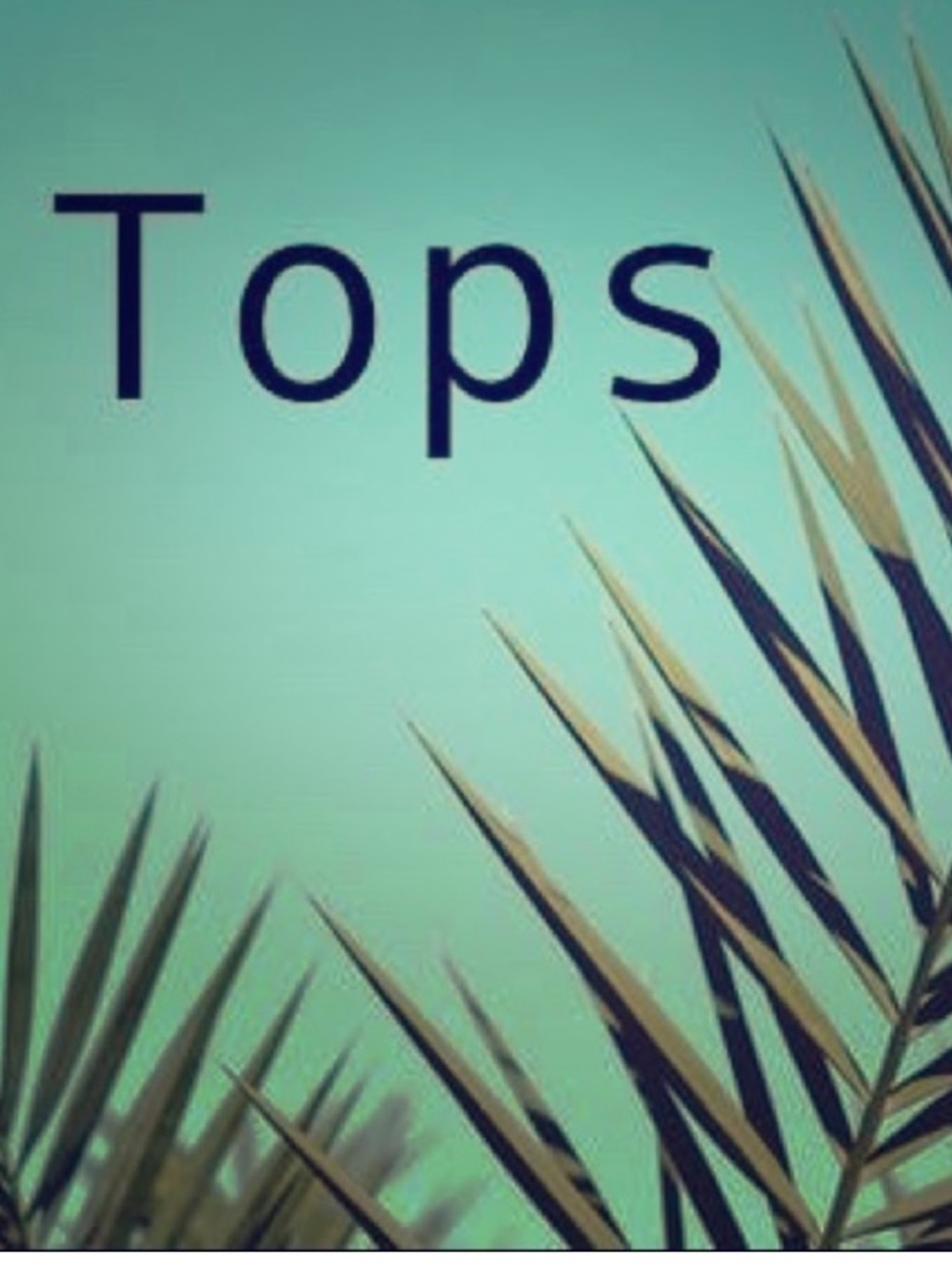 Shirts, Tees, Blouses, Sweaters, Tanks